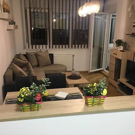 Apartment Sinisa With Garage 诺威萨 外观 照片